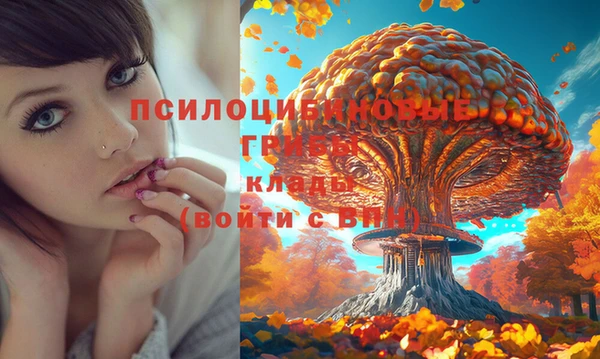 mdpv Карпинск