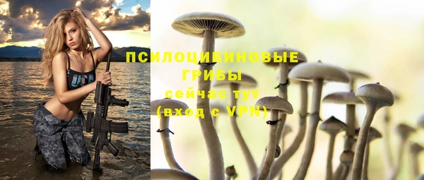 mdpv Карпинск