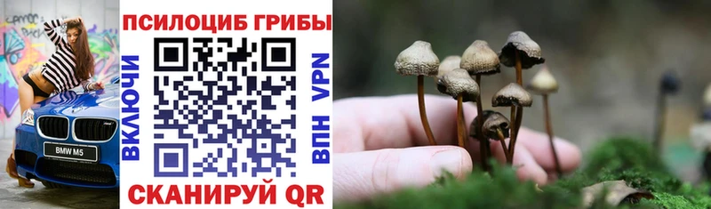 Купить где  Волгореченск  Галлюциногенные грибы ЛСД 